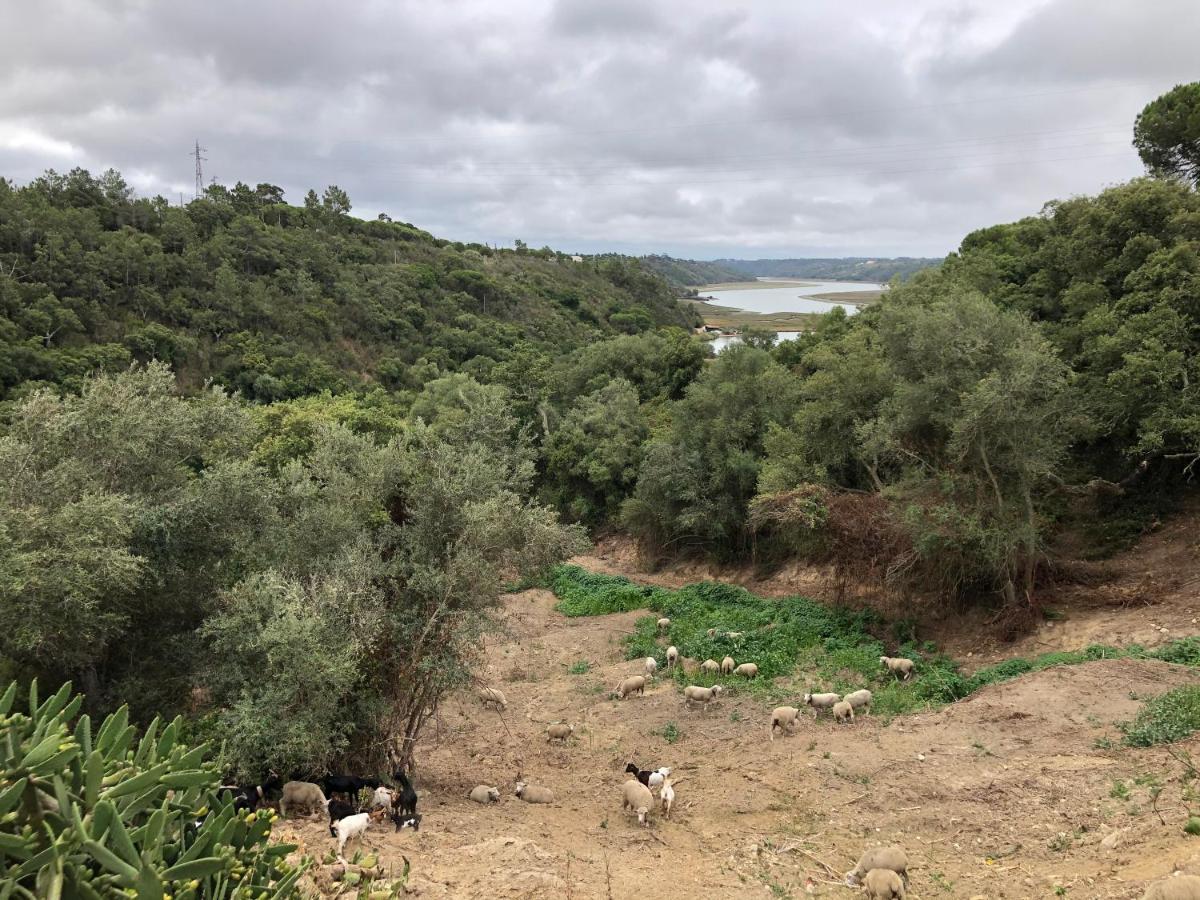 Herdade Do Freixial - Turismo Rural Vila Nova de Milfontes Eksteriør billede