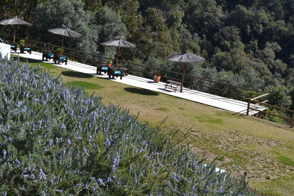 Herdade Do Freixial - Turismo Rural Vila Nova de Milfontes Eksteriør billede