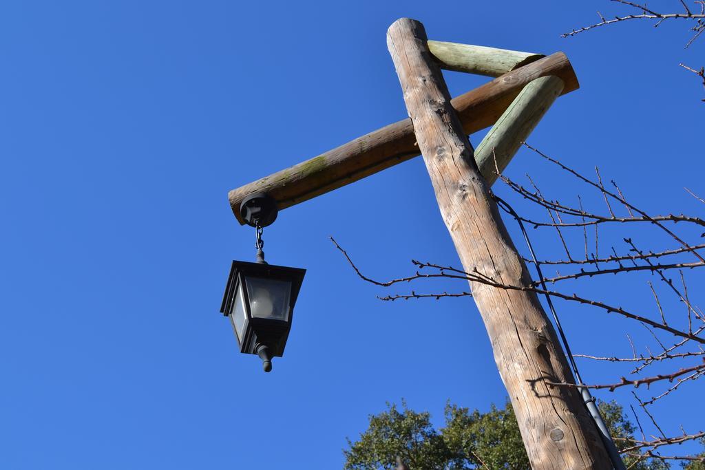 Herdade Do Freixial - Turismo Rural Vila Nova de Milfontes Eksteriør billede