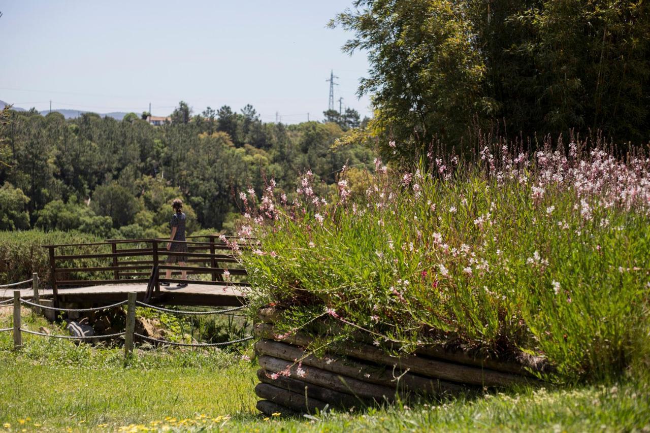 Herdade Do Freixial - Turismo Rural Vila Nova de Milfontes Eksteriør billede